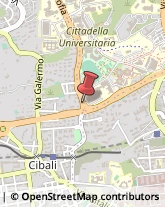 Urologia - Medici specialisti,95123Catania