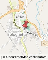 Macellerie Bolognetta,90030Palermo