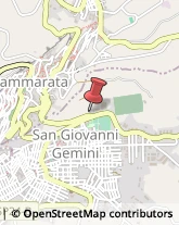 Piante e Fiori Artificiali - Dettaglio San Giovanni Gemini,92020Agrigento