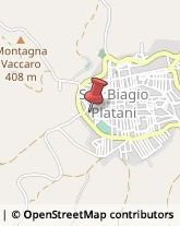 Tour Operator e Agenzia di Viaggi San Biagio Platani,92020Agrigento