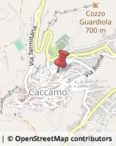 Autolinee Caccamo,90012Palermo