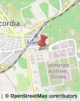 Segherie Scordia,95048Catania