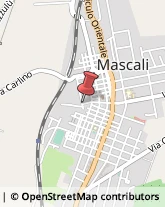 Consulenze Speciali Mascali,95016Catania