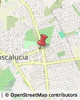 Internet - Provider Mascalucia,95030Catania