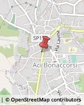 Bulbi e Sementi Aci Bonaccorsi,95020Catania