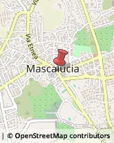 Bomboniere Mascalucia,95030Catania