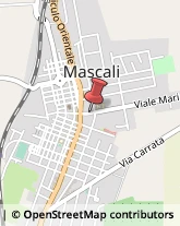 Aziende Sanitarie Locali (ASL) Mascali,95016Catania