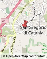 Studi - Geologia, Geotecnica e Topografia San Gregorio di Catania,95027Catania