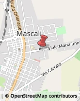 Mercerie Mascali,95016Catania