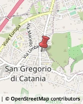 Alimentari San Gregorio di Catania,95027Catania