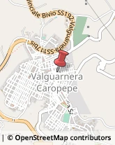 Piante e Fiori - Dettaglio Valguarnera Caropepe,94019Enna