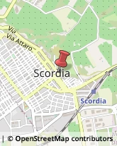 Ecografia e Radiologia - Studi Scordia,95048Catania