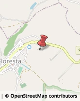 Ristoranti Floresta,98030Messina