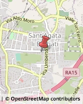 Consulenza Informatica,95030Catania