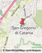 Agenzie Immobiliari San Gregorio di Catania,95027Catania