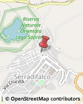 Piante e Fiori - Dettaglio Serradifalco,93010Caltanissetta
