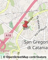 Brokers e Agenti di Assicurazione,95027Catania