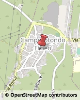 Scuole Pubbliche Camporotondo Etneo,95040Catania