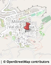 Avicoltura Militello in Val di Catania,95043Catania