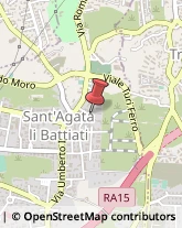 Agenti e Rappresentanti di Commercio,95030Catania