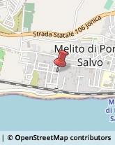 Piante e Fiori - Dettaglio Melito di Porto Salvo,89063Reggio di Calabria