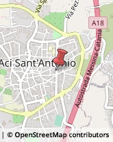 Uccelli Aci Sant'Antonio,95025Catania