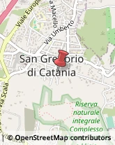 Consulenza Agricoltura e Foresta San Gregorio di Catania,95027Catania