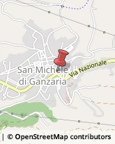 Piante e Fiori Artificiali - Dettaglio San Michele di Ganzaria,95040Catania