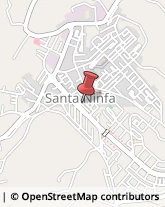 Casalinghi Santa Ninfa,91029Trapani