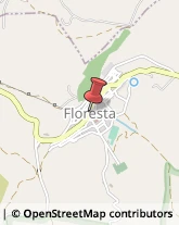 Alimentari Floresta,98030Messina