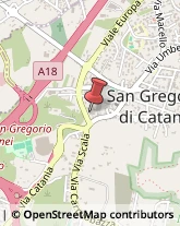 Agenzie di Animazione e Spettacolo San Gregorio di Catania,95027Catania