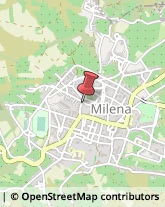 Erboristerie Milena,93010Caltanissetta