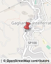 Piante e Fiori - Dettaglio Gagliano Castelferrato,94010Enna