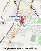 Piante e Fiori - Dettaglio Fiumefreddo di Sicilia,95013Catania