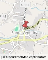 Farmacie Santa Venerina,95010Catania