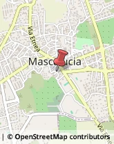 Cinema Mascalucia,95030Catania