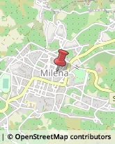 Commercialisti Milena,93010Caltanissetta