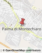 Oculisti - Medici Specialisti Palma di Montechiaro,92020Agrigento