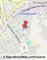 Carne - Lavorazione e Commercio Caltagirone,95041Catania