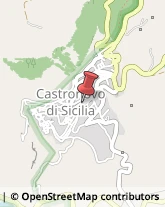 Piante e Fiori - Dettaglio Castronovo di Sicilia,90030Palermo