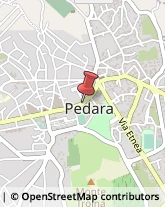 Notai Pedara,95030Catania