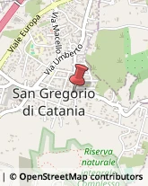 Amministrazioni Immobiliari San Gregorio di Catania,95027Catania