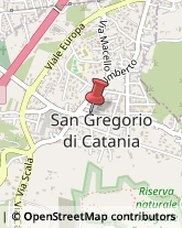 Autoscuole San Gregorio di Catania,95027Catania