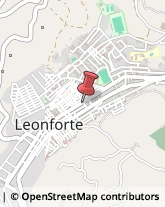 Piante e Fiori - Dettaglio Leonforte,94013Enna