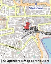 Pesce - Lavorazione e Commercio Catania,95021Catania