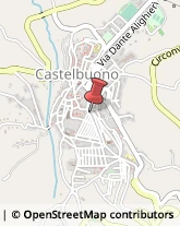 Piante e Fiori - Dettaglio Castelbuono,90013Palermo