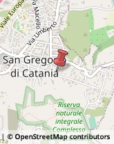 Comuni e Servizi Comunali San Gregorio di Catania,95027Catania