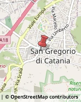 Notai San Gregorio di Catania,95027Catania