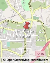 Agrumi Sant'Agata li Battiati,95030Catania