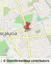 Profumerie Mascalucia,95030Catania